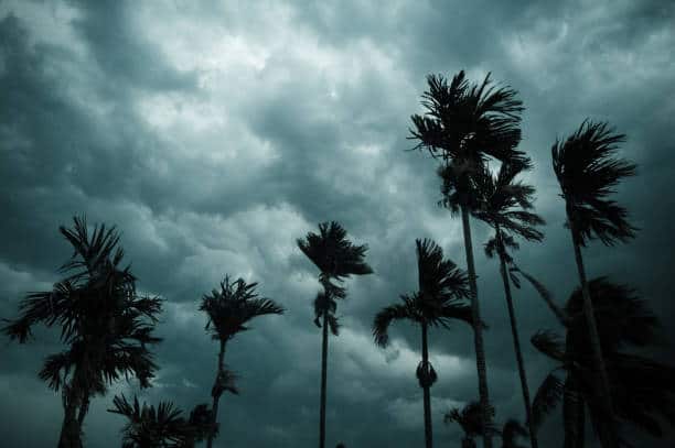 Weather Update IMD predicts heavy rainfall in these parts of India till Oct 8 maharashtra mumbai monsoon Weather Update : पुढील 24 तास परतीच्या पावसाचा धुमाकूळ, हवामान खात्याने वर्तवला अंदाज