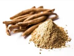 ਅਸ਼ਵਗੰਧਾ ਪਾਊਡਰ ਖਾਣ ਦੇ ਇਹ 6 ਜਬਰਦਸਤ ਫਾਇਦੇ, ਜਾਣੋ