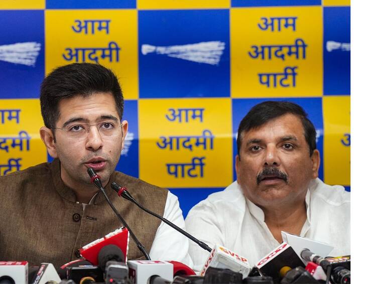 AAP MPs Raghav Chadha, Sanjay Singh Suspended From Rajya Sabha