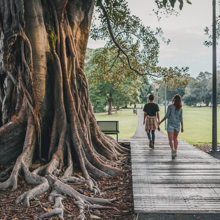 মর্নিং ওয়াক করলে শরীর গরম হয়ে যায়। এই কারণে, যখনই আমরা ওয়াক থেকে ফিরি, সবার আগে আমাদের শরীর ঠান্ডা করা উচিত।
