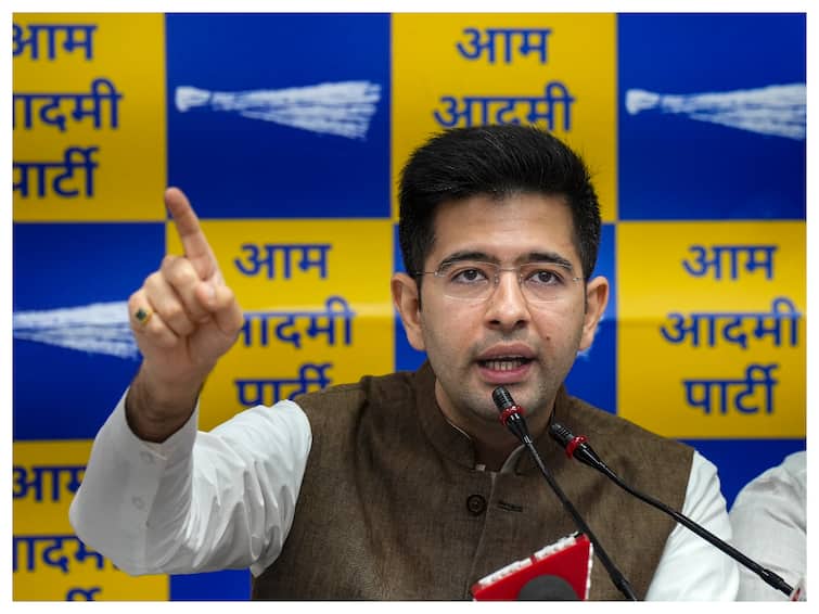 Raghav Chadha Suspended From Rajya Sabha AAP Privileges Committee Delhi Services Bill Forgery Fake Signatures 'Privileges Committee Notice Doesn't Mention Forgery': AAP On Suspension Of Raghav Chadha From Rajya Sabha