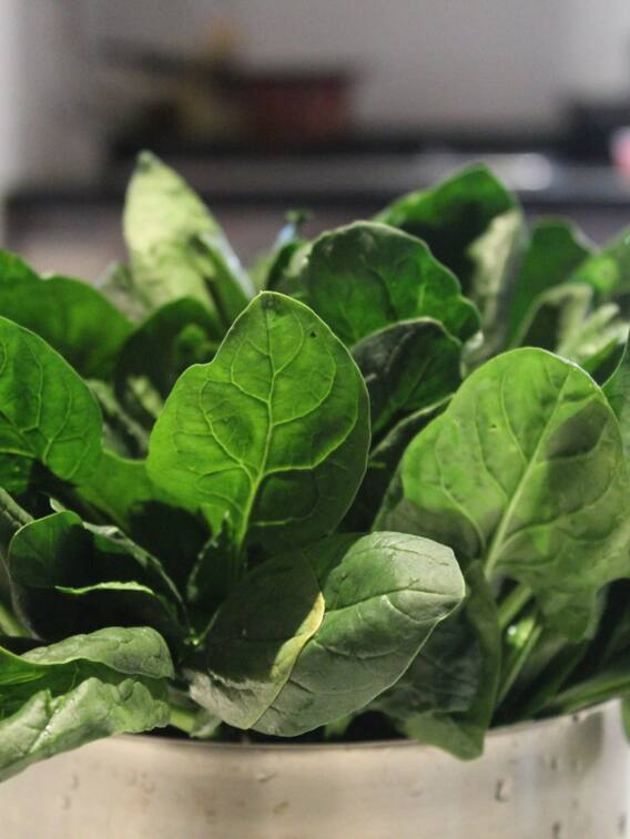 इसे कहते हैं दुनिया का सबसे महंगा साग