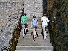 क्या सीढ़ी चढ़ते वक्त आपकी भी फूलने लगती है सांस? कहीं आप इन बीमारियों के शिकार तो नहीं!