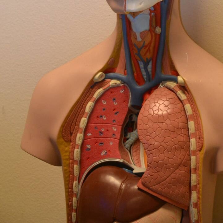 হেপাটাইটিস হল যকৃত বা লিভারের প্রদাহ। অনেক কারণে হেপাটাইটিস হতে পারে।  যেমন ধরুন, ভাইরাস ঘটিত সংক্রমণে, অত্যধিক অ্যালকোহল জাতীয় পানীয় সেবন করে।