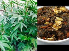 Sour Spinach Thokku: சுவையான புளிச்சக்கீரை தொக்கு செய்றது இவ்ளோ ஈசியா..? வாங்க அசத்தலாம்..!