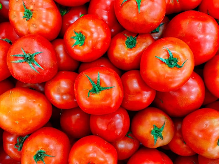 Tomato Price Falls Down to 35 Rupees Per KG in Madanapalle Market at Yard Tomato Price Falls: పెరుగుతున్న టమాటా దిగుబడి- నిరాశలో రైతులు - మదనపల్లిలో కిలో రూ.35