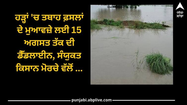 August 15 deadline for compensation of crops destroyed in floods, United Kisan Morcha announces big action Punjab News: ਹੜ੍ਹਾਂ 'ਚ ਤਬਾਹ ਫ਼ਸਲਾਂ ਦੇ ਮੁਆਵਜ਼ੇ ਲਈ 15 ਅਗਸਤ ਤੱਕ ਦੀ ਡੈੱਡਲਾਈਨ, ਸੰਯੁਕਤ ਕਿਸਾਨ ਮੋਰਚੇ ਵੱਲੋਂ 19 ਅਗਸਤ ਨੂੰ ਵੱਡੇ ਐਕਸ਼ਨ ਦਾ ਐਲਾਨ