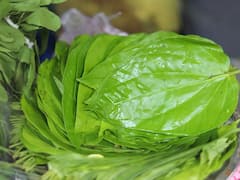 Betel Leaf Disadvantage: पान खाने की है लत तो अभी संभल जाएं, ज्यादा खाने से हो सकते हैं ये नुकसान