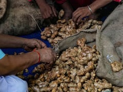 छत्तीसगढ़ में अदरक की कीमत 300 के पार, हरी सब्जियों का भाव अभी भी आसमान पर