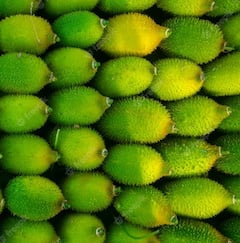 Health News: ਕਰੇਲੇ ਵਰਗੀ ਨਜ਼ਰ ਆਉਂਦੀ ਇਹ ਸਬਜ਼ੀ ਸਿਹਤ ਲਈ ਬਹੁਤ ਫਾਇਦੇਮੰਦ...5 ਬੀਮਾਰੀਆਂ ਲਈ ਰਾਮਬਾਣ