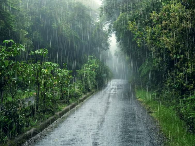 Himachal Pradesh To Get Light To Moderate Rainfall Yellow Alert Issued know details హిమాచల్ ప్రదేశ్‌కు వాతావరణ శాఖ హెచ్చరిక-  అధికారులు అలర్ట్‌!