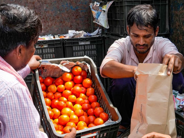 Tomato Price Hike Govt Directs NCCF NAFED to sell tomatoes at price of 50 Rupee per kg from 15th August 2023 Tomato Price Hike: स्वतंत्रता दिवस पर महंगाई से राहत दिलाएगी सरकार, 15 अगस्त से 50 रुपये किलो में टमाटर बेचने का किया ऐलान