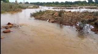 Chandrapur News: चंद्रपुरात इरई नदीत दूषीत पाणी,  प्रदूषीत पाण्यामुळे तीन दिवस पाणीपुरवठा खंडित