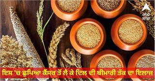 Benefits of Coarse Grains: ਲੋਕ ਛੱਡ ਗਏ ਮੋਟਾ ਅਨਾਜ ਖਾਣਾ, ਇਸ 'ਚ ਛੁਪਿਆ ਕੈਂਸਰ ਤੋਂ ਲੈ ਕੇ ਦਿਲ ਦੀ ਬੀਮਾਰੀ ਤੱਕ ਦਾ ਇਲਾਜ