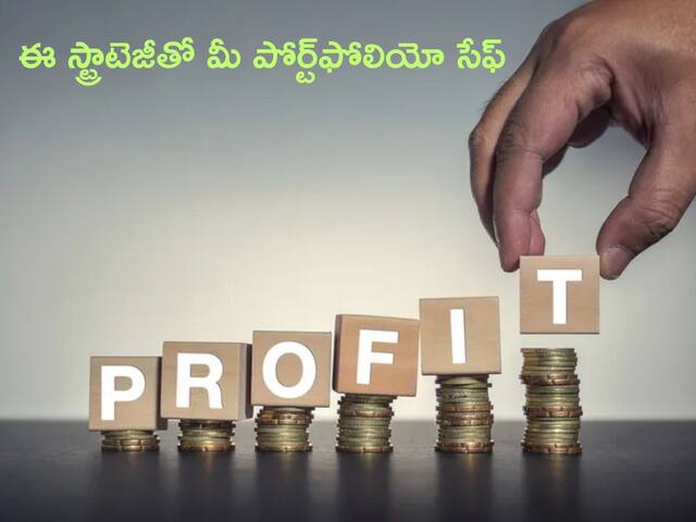 Hybrid Funds: కష్టకాలంలో నష్టాలను తగ్గించే మంత్రమిది - ఇన్వెస్టర్లు చాలా డబ్బు సంపాదించారు!