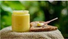 Health Tips : दुधात 'देसी तूप' मिसळून पिण्याची सवय लावा, हे गंभीर आजार बरे होऊ शकतात