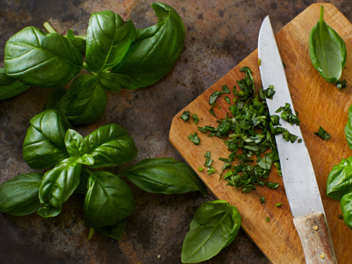 Know The Health Benefits Of Basil And Ways To Include It In Diet