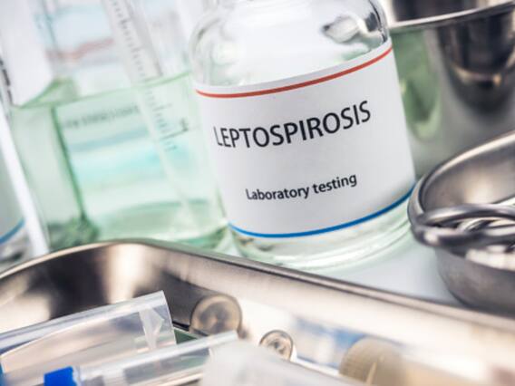 Leptospirosis: Symptoms, Causes And All That You Need To Know