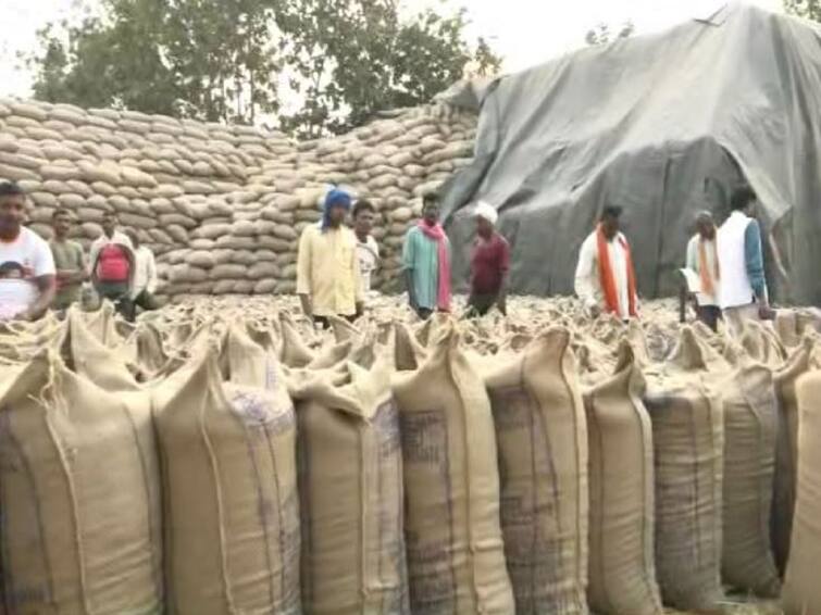 Rice procurement scam 5 crore 72 lakh rice purchase scam in Gondia district Gondia New : गोंदिया जिल्ह्यात पाच कोटी 72 लाखांचा तांदूळ खरेदी घोटाळा, संचालकांसह कर्मचाऱ्यांवर गुन्हा दाखल...