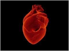 Heart Problems: పుట్టుకతోనే కొందరిలో గుండెల్లో రంధ్రాలు ఎందుకు వస్తాయి?