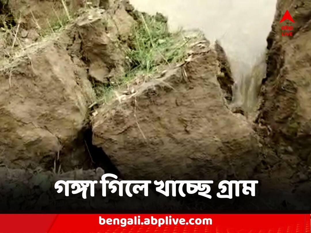 Malda Ganga Erosion Several Villages affected hundreds of people lose sheltar Malda News : গঙ্গা গিলে খাচ্ছে গ্রাম, মালদায় তীব্র আতঙ্ক, আশ্রয়হীন বহু পরিবার