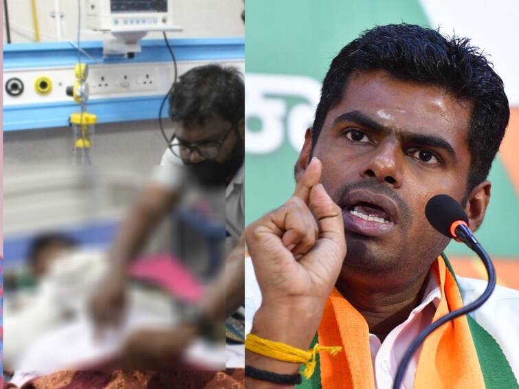 TN BJP leader Annamalai issued a statement regarding the caste attack on a Plus 2 student in Nanguneri Nanguneri Incident: சமூகத்தை கொஞ்சம் கொஞ்சமாக அரிக்கும் ஜாதி என்னும் விஷச்செடி.. அண்ணாமலை அறிக்கை வெளியீடு!