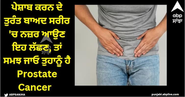 If these symptoms appear in the body immediately after urinating, then understand that you have 'prostate cancer'. Prostate Cancer: ਪੇਸ਼ਾਬ ਕਰਨ ਦੇ ਤੁਰੰਤ ਬਾਅਦ ਸਰੀਰ 'ਚ ਨਜ਼ਰ ਆਉਣ ਇਹ ਲੱਛਣ, ਤਾਂ ਸਮਝ ਜਾਓ ਤੁਹਾਨੂੰ ਹੈ Prostate Cancer