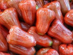 क्या आपने कभी वॉटर एप्पल खाए हैं? अगर नहीं तो खाना शुरू कर दें, शरीर को मिलेंगे ये 6 फायदे