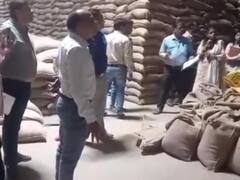 जबलपुर में मूंग खरीदी के नाम पर घोटाला, भ्रष्टाचारियों ने सरकार को लगाया 6 करोड़ का चूना, FIR दर्ज