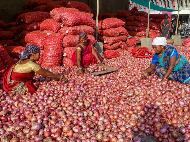 Maharashtra Nashik Farmer Not Happy For Onion Buffer Stock By Center Government ANN