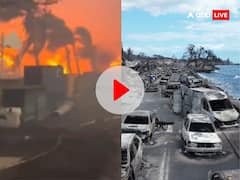 आग की भीषड़ लपटों ने पूरे शहर को बना दिया शमशान, लोग समुद्र में कूद रहे, चारों तरफ सिर्फ तबाही- VIDEO