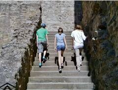 ਕੀ ਪੌੜੀਆਂ ਚੜ੍ਹਨ ਵੇਲੇ ਤੁਹਾਨੂੰ ਵੀ ਚੜ੍ਹਦਾ ਹੈ ਸਾਹ ? ਕੀ ਤੁਸੀਂ ਵੀ ਇਨ੍ਹਾਂ ਬਿਮਾਰੀਆਂ ਦੇ ਸ਼ਿਕਾਰ ਹੋ?