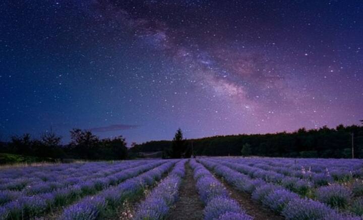 সময়ের সঙ্গে সঙ্গে পরিচিতি বাড়ছে মহাজগতের সঙ্গে। নক্ষত্র, গ্রহ, উপগ্রহ এমনকি সৌরজগতের বাইরেও যে রহস্যময় অন্য এক দুনিয়া রয়েছে, তা বুঝতে পারছি আমরা। শুধু কি তাই! মহাশূন্যের গর্ভে আরও একাধিক গ্রহের সন্ধানও মিলতে শুরু করেছে, যারা কিনা আমাদের সৌরজগতের একেবারে ধার ঘেঁষে বিরাজ করছে।