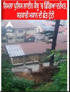 Shimla। ਸ਼ਿਮਲਾ ਪੁਲਿਸ ਲਾਈਨ ਕੈਥੂ 'ਚ ਡਿੱਗਿਆ ਦਰੱਖਤ, ਸਰਕਾਰੀ ਮਕਾਨ ਦੀ ਛੱਤ ਟੁੱਟੀ