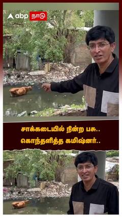 சாக்கடையில் நின்ற பசு.. கொந்தளித்த கமிஷ்னர்