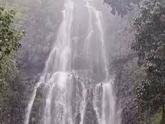 Sindhudurg News : सलगच्या सुट्ट्यांमध्ये कोकणात पर्यटकांची गर्दी; पर्यटन स्थळे पर्यटकांनी बहरली'; पाहा फोटो