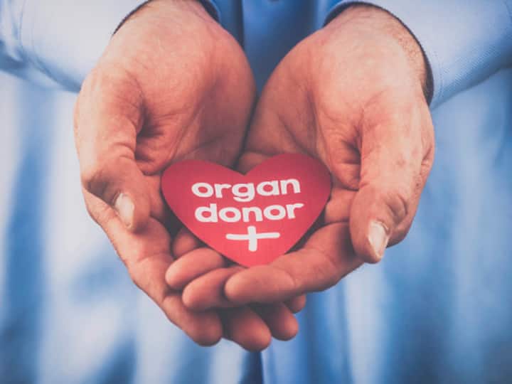 World Organ Donation Day 2023 Intestinal Face Uterus Donation Lesser Known Organ Transplants World Organ Donation Day: Intestinal, Face, Uterus Donation – Lesser Known Organ Transplants