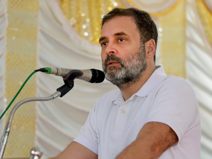Congress Rahul Gandhi In MP Shajapur Rally Madhya Pradesh Elections 2023 'MP Is Epicentre Of Corruption': Rahul Gandhi Accuses BJP Govt In State Of Malpractices