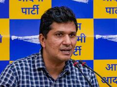 Delhi Services Act Against Basic Spirit Of Constitution, SC Will Overturn It: AAP's Saurabh Bhardwaj