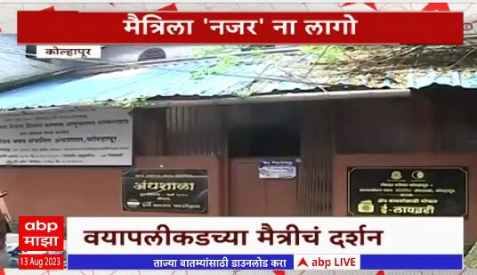 Kolhapur Blind student Special Report : राजेंद्र बुचडे बनले अंध विद्यार्थ्यांचे सारथी Abp Majha