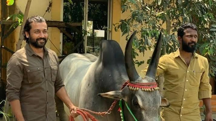 இரண்டாவதாக, வாடிவாசல் படத்தின் படப்பிடிப்பு, இயக்குநர் வெற்றிமாறனின் விடுதலை படத்தின் இரண்டாம் பாக படப்பிடிப்பு நிறைவடைந்த பிறகு விரைவில் தொடரும் என தெரிவித்தார்