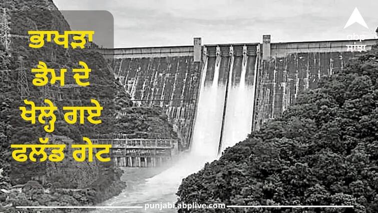 Flood gates of Bhakra Dam opened Water level just 9 feet below the danger mark Punjab Flood: ਪੰਜਾਬ ਲਈ ਮੁੜ ਖ਼ਤਰੇ ਦੀ ਘੰਟੀ ! ਖੋਲ੍ਹੇ ਗਏ ਭਾਖੜਾ ਡੈਮ ਦੇ ਫਲੱਡ ਗੇਟ, ਹਿਮਾਚਲ 'ਚ ਭਾਰੀ ਤਬਾਹੀ