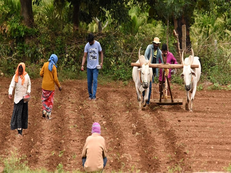 Farmers apply for Kisan Credit Card to get cheap loan for agriculture know the step by step process KCC Scheme: ખેતી માટે સસ્તી લોન લેવા કિસાન ક્રેડિટ કાર્ડ માટે કરો અરજી, જાણો સ્ટેપ બાય સ્ટેપ પ્રોસેસ
