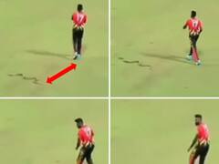 Watch: बाल-बाल बची खिलाड़ी की जान! लाइव मैच में फिर हुई सांप की एंट्री, इस बार खतरे में था प्लेयर