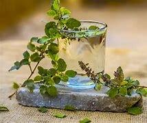 Tulsi Water Benefits : तुळशीचे पाणी बहुतेक सकाळी पिल्याने तुमच्या शरीरातील विषारी पदार्थ आणि जंतू लगेच बाहेर पडण्यास मदत होते.