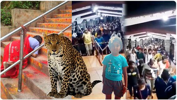 Tiger Attack on Girl in Tirumala | బాలికపై చిరుత దాడితో.. అలిపిరి నడక మార్గంలో హై టెన్షన్ |ABP Desam