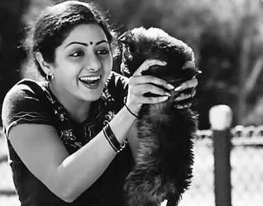 தமிழ்நாட்டைச் சேர்ந்த நடிகை ஸ்ரீதேவி 1963- ஆம் ஆண்டு ஆகஸ்ட் 13ஆம் நாள் பிறந்தார்.