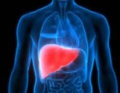 Fatty Liver: ਫੈਟੀ ਲੀਵਰ ਹੋਣ 'ਤੇ ਸਰੀਰ 'ਚ ਨਜ਼ਰ ਆਉਂਦੇ ਇਹ ਲੱਛਣ, ਇਦਾਂ ਪਛਾਣੋ