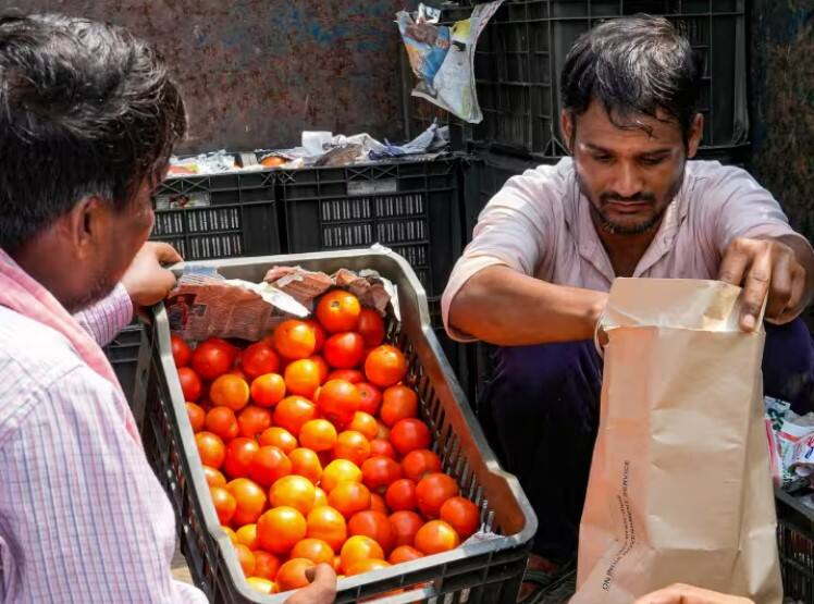Tomato Price drop down Independence day gif government announcement to sell tomatoes at rupees 50 per kg from today Tomato Price Drop: स्वातंत्र्य दिनाचं गिफ्ट! आजपासून टोमॅटो 50 रुपये किलोनं विकण्याची सरकारची घोषणा