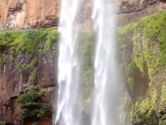 Shelwa Waterfall : तळकोकणात फेसळणारा शेवळा धबधबा पर्यटकांनी बहरला, पाहा फोटो